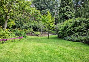 Optimiser l'expérience du jardin à Seringes-et-Nesles
